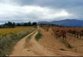 Land for sale on T-334, Horta de Sant Joan, ref: TR346111 photo