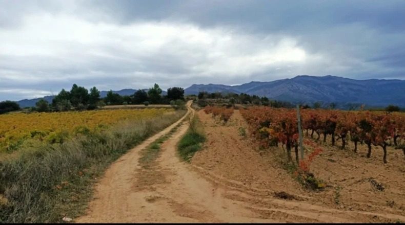 Tarragona - Horta de Sant Joan - 10000m2