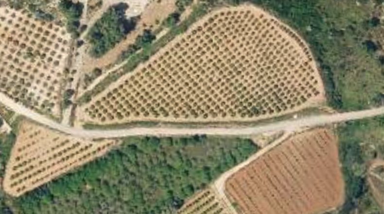 Valencia - Carlet - 37000m2