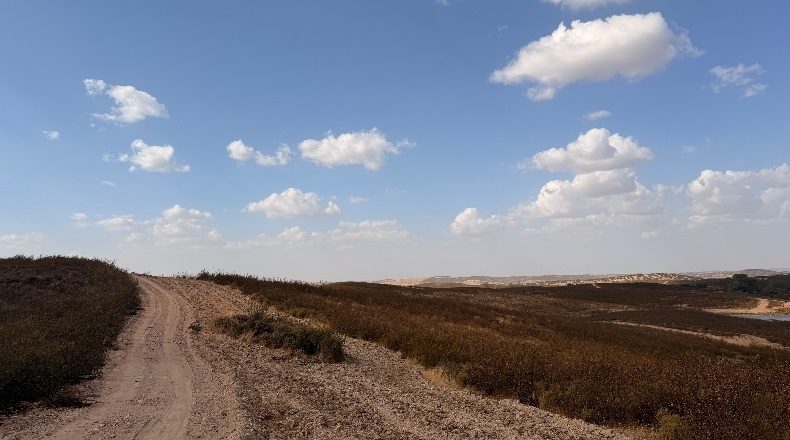 Huelva - Puebla de Guzmán - 1500000m2
