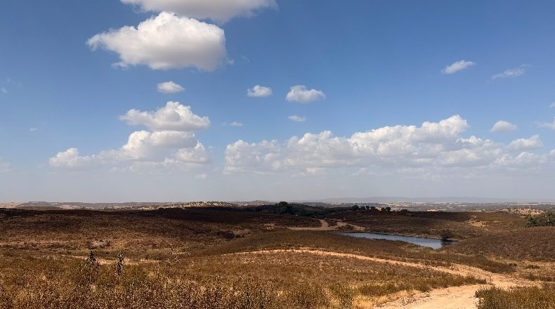 Huelva - Puebla de Guzmán - 1500000m2