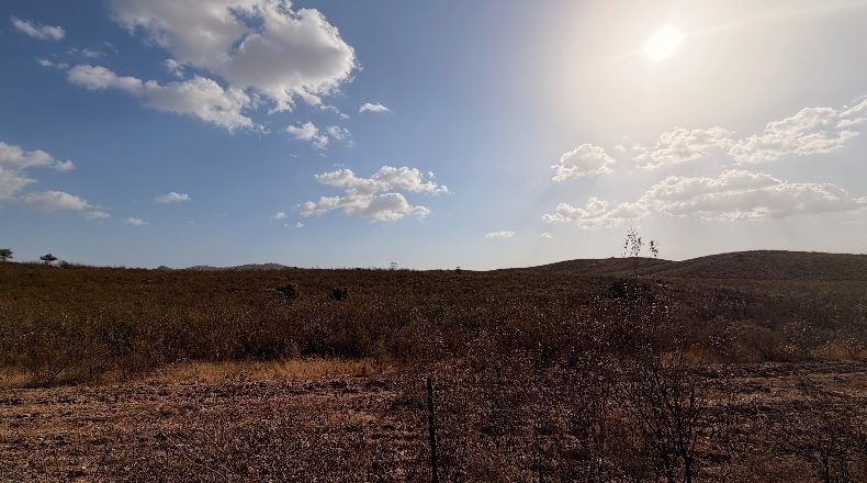Huelva - Puebla de Guzmán - 1500000m2