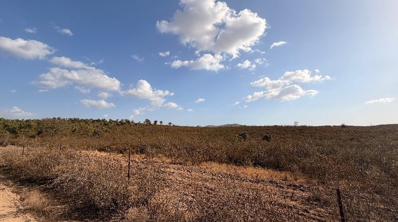 Huelva - Puebla de Guzmán - 1500000m2