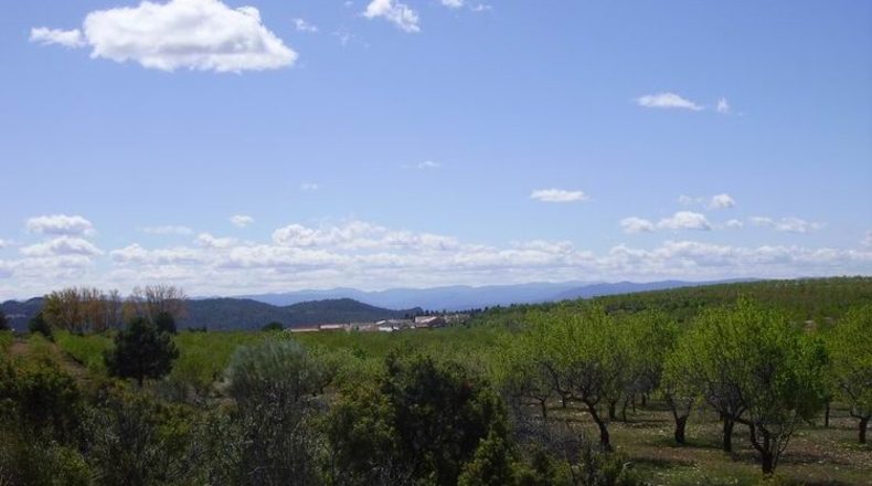 Albacete - Molinicos - 22000m2