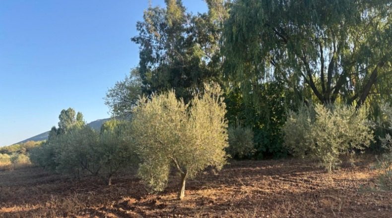 Ciudad Real - Malagón - 6970m2