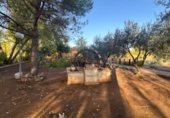 Finca rústica en venta en la Cañada Real Soriana Oriental, Malagón, ref: TR347562 foto