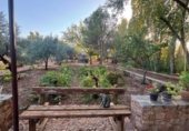 Finca rústica en venta en la Cañada Real Soriana Oriental, Malagón, ref: TR347562 foto