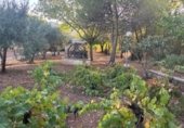 Finca rústica en venta en la Cañada Real Soriana Oriental, Malagón, ref: TR347562 foto
