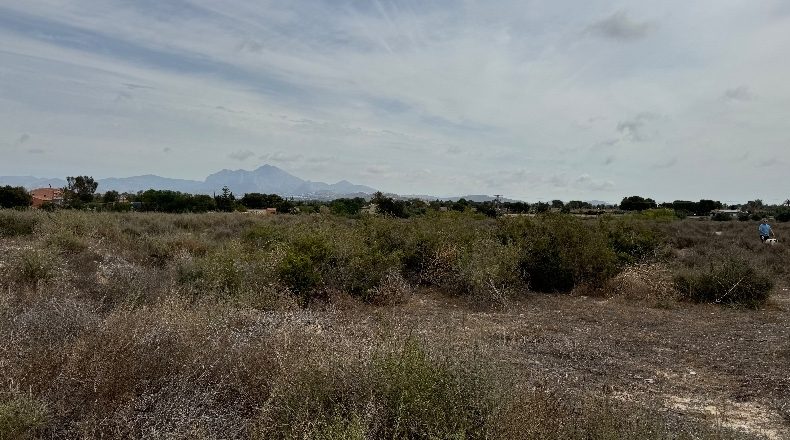 Alicante - Muchamiel - 30273m2