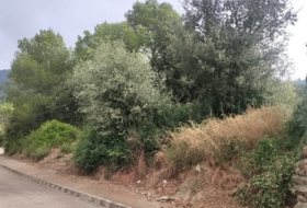 Llorà 1076&nbsp;м²