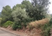 Suelo urbano en venta en la Urbanització Vall del Lleman, Llorà, ref: TR347955 foto