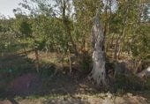 Terreny no urbanitzable en venda a la Carretera de Estación de Palanquinos a Villavidiel, Villanueva de las Manzanas, ref.: TR349602 foto