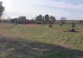 Terreny no urbanitzable en venda a la Calle Jardines, Portillo de Toledo, ref.: TR349597 foto