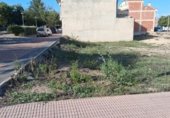 Suelo urbano en venta en la Portugales 27, Bullas, ref: TR235236 foto