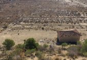 Land suitable for development for sale on Camí del Portell, Alicante, ref: TR350702 photo