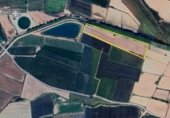 Non-developable land for sale on Carretera de Bellvís al Palau d'Anglesola, Bellvís, ref: TR350714 photo