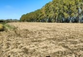 Non-developable land for sale on Carretera de Bellvís al Palau d'Anglesola, Bellvís, ref: TR350714 photo