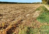 Non-developable land for sale on Carretera de Bellvís al Palau d'Anglesola, Bellvís, ref: TR350714 photo