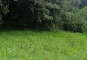 Non-developable land for sale on Carretera de Perán a Tabaza, La Barrera, ref: TR350739 photo