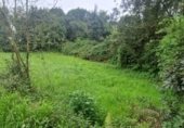 Non-developable land for sale on Carretera de Perán a Tabaza, La Barrera, ref: TR350739 photo