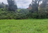 Non-developable land for sale on Carretera de Perán a Tabaza, La Barrera, ref: TR350739 photo