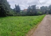 Non-developable land for sale on Carretera de Perán a Tabaza, La Barrera, ref: TR350739 photo