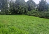 Non-developable land for sale on Carretera de Perán a Tabaza, La Barrera, ref: TR350739 photo