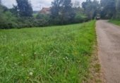 Non-developable land for sale on Carretera de Perán a Tabaza, La Barrera, ref: TR350739 photo