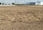 Земля на продажу у города Novés Фото