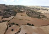 Non-developable land for sale on N-320, Alcocer, ref: TR307309 photo