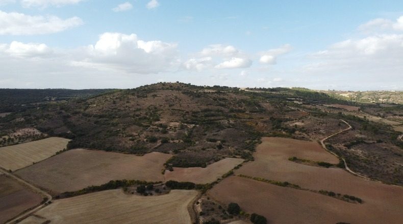 Гвадалахара - Alcocer - 33000m2