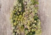 Non-developable land for sale on N-320, Alcocer, ref: TR307309 photo