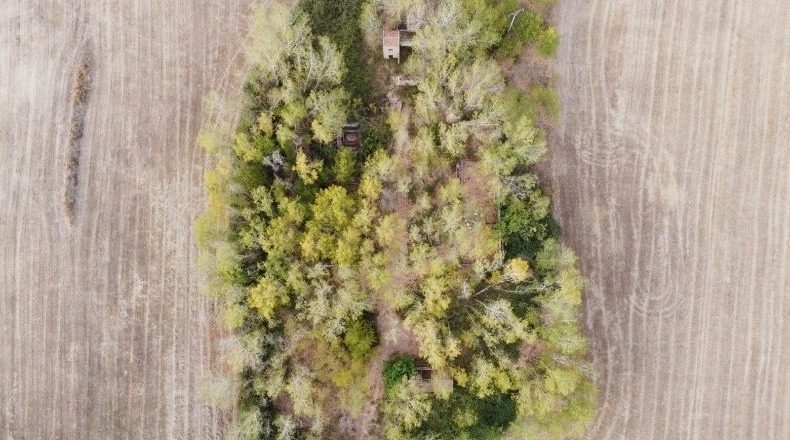 Гвадалахара - Alcocer - 33000m2