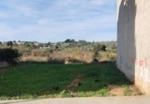 Land suitable for development for sale on Avinguda d'Ausiàs March, Llombai, ref: TR351871 photo
