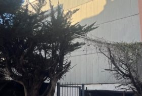 Foto 7