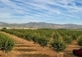 Non-developable land for sale on Ramal de Acceso a Venta Nueva (Huétor Tájar), Huétor Tájar, ref: TR352828 photo