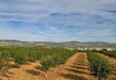Non-developable land for sale on Ramal de Acceso a Venta Nueva (Huétor Tájar), Huétor Tájar, ref: TR352828 photo