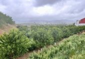 Non-developable land for sale on Ramal de Acceso a Venta Nueva (Huétor Tájar), Huétor Tájar, ref: TR352828 photo