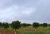 Non-developable land for sale on Ramal de Acceso a Venta Nueva (Huétor Tájar), Huétor Tájar, ref: TR352828 photo