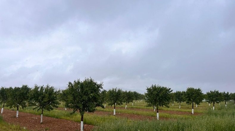 Granada - Huétor Tájar - 27000m2