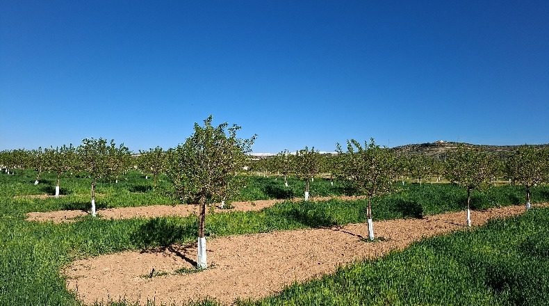 Granada - Huétor Tájar - 27000m2