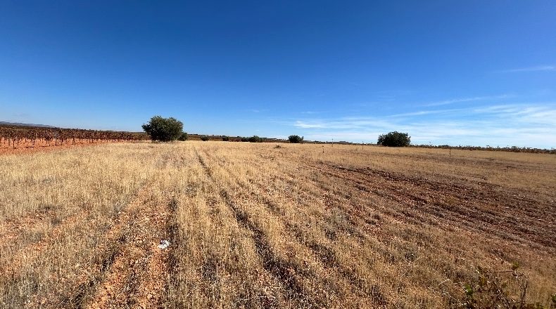 Ciudad Real - Valdepeñas - 16867m2