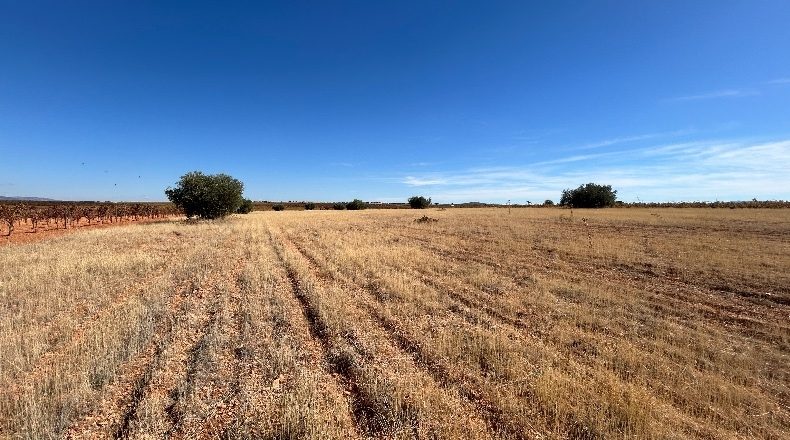 Ciudad Real - Valdepeñas - 16867m2