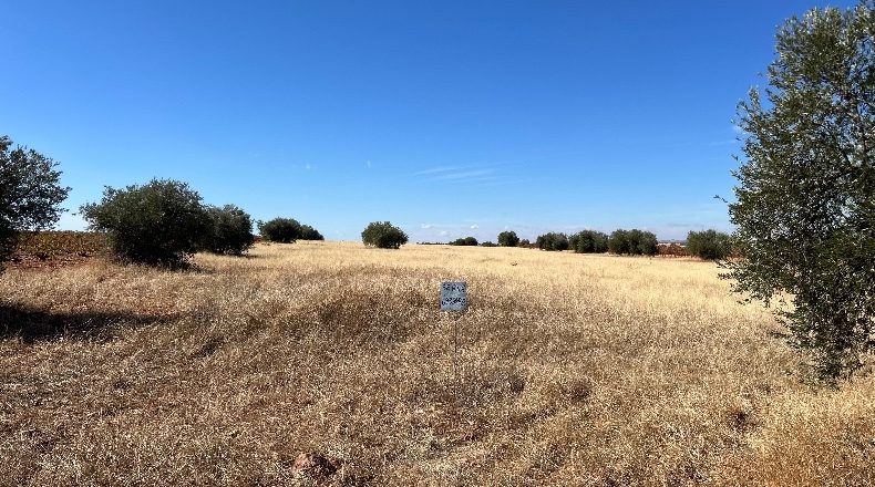 Ciudad Real - Valdepeñas - 16867m2