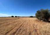 Parcel·la urbanitzable en venda a la Carretera de Infantes, Valdepeñas, ref.: TR353316 foto