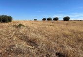 Parcel·la urbanitzable en venda a la Carretera de Infantes, Valdepeñas, ref.: TR353316 foto
