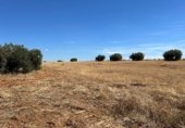 Parcel·la urbanitzable en venda a la Carretera de Infantes, Valdepeñas, ref.: TR353316 foto