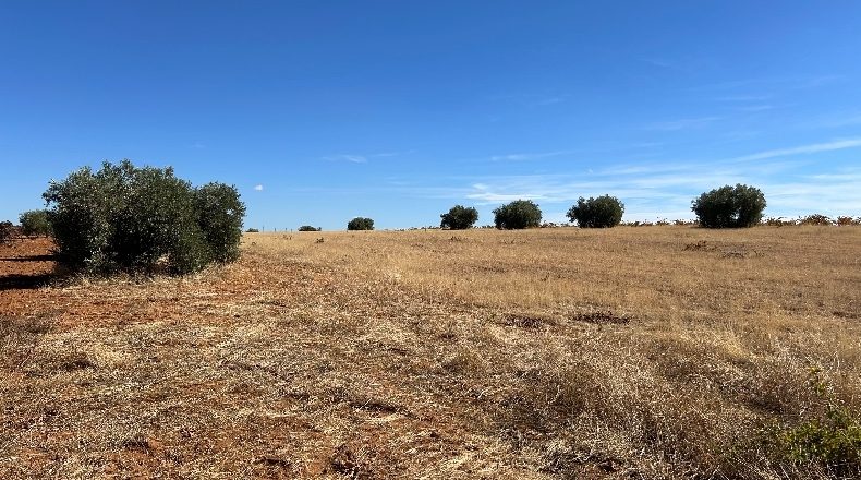 Ciudad Real - Valdepeñas - 16867m2