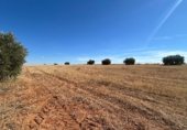 Parcel·la urbanitzable en venda a la Carretera de Infantes, Valdepeñas, ref.: TR353316 foto