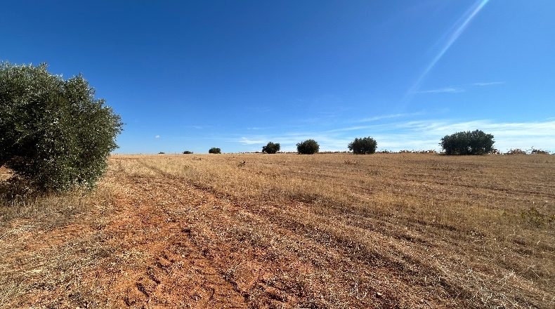 Ciudad Real - Valdepeñas - 16867m2